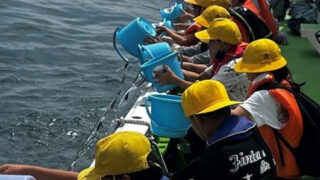 船上からヒラメ稚魚を放流する平塚市立港小学校の児童